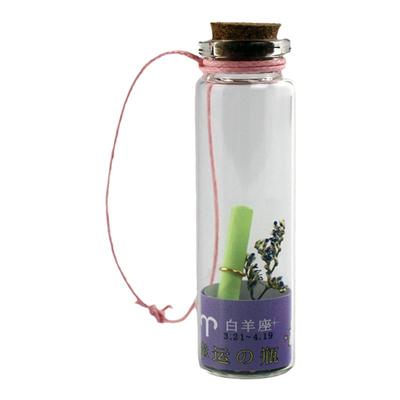 包邮一盒12只星座许愿瓶