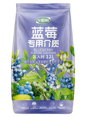 花彩师蓝莓土新手也能种好蓝莓