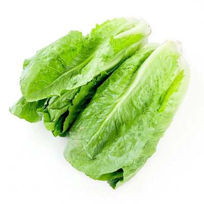 新鲜罗马生菜健身轻食沙拉菜即食