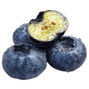 丹东蓝莓鲜果新鲜高端水果应当季蓝梅高山整箱包邮野果顺丰特大果