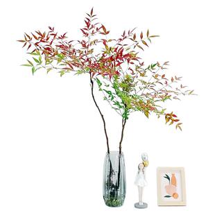 水培植物南天竹室内水养花卉火焰盆景绿植客厅办公室桌面好养盆栽