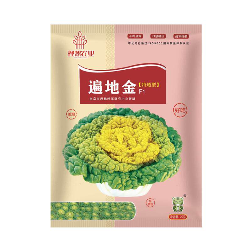 黄心乌塌菜种籽雪里金花青菜卷心家庭园艺种子
