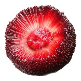 靖州一品东方喝过梅原材料杨梅果汁饮料纯果汁解腻饮品聚餐聚会