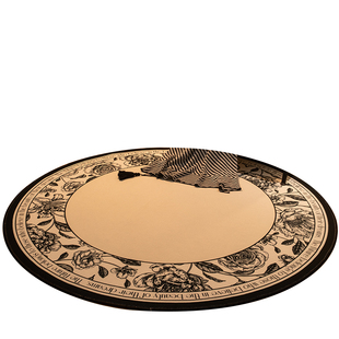 圆形地毯卧室床边毯轻奢高级感衣帽间梳妆台椅子地垫家用客厅脚垫