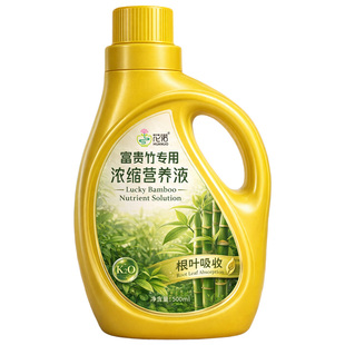 富贵竹专用营养液治叶子发黄转运竹节节高文昌竹水竹水培植物生根