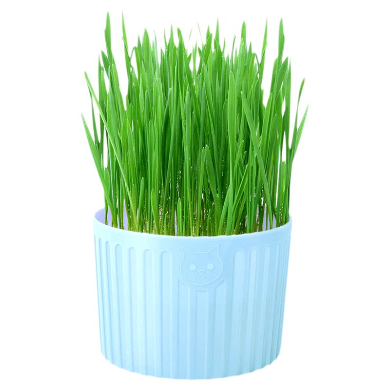 猫咪猫草猫薄荷营养土种植用品