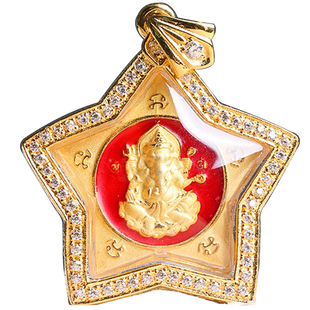 泰国佛牌 龙婆雨水 龙婆判 象神 四面佛 鸟 萨莉嘎 正牌项链吊坠