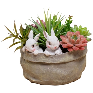 掬涵石莲花石竹观音莲佛手莲芦荟仿真多肉植物绿植小盆景