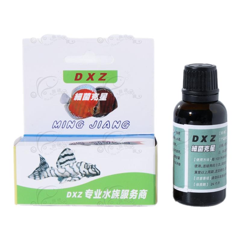 dxz异形鼠鱼灯科鱼七彩专用