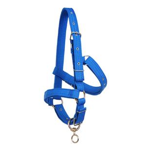 牛龙套 牛龙套笼头新款2025款全套大牛头套 牛龙头笼头可调秃头