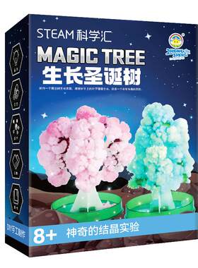 儿童纸树开花科学实验圣诞礼物