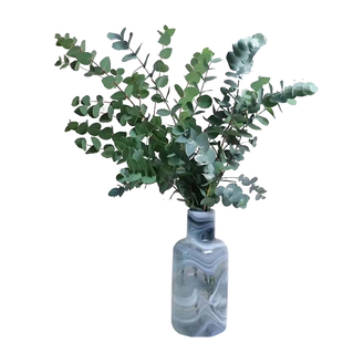 尤加利叶鲜花绿植云南直发花期长水培植物插花鲜切花新鲜桉树叶