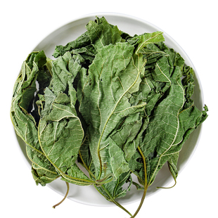 桑叶中药材500g250/100克正品野生官方旗舰店霜后桑叶干泡水新鲜