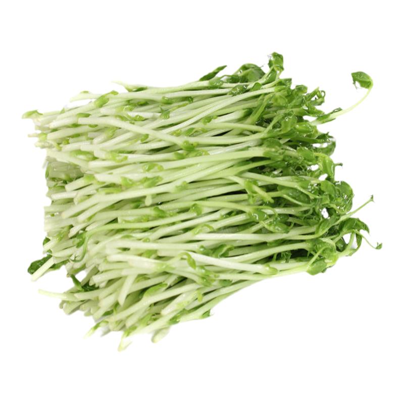 新鲜蔬菜豌豆苗碗豆尖豌豆芽苗菜水培璇蔓豆苗500g绿色农家食用