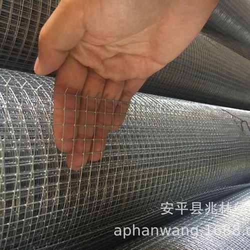 河北厂家供应小孔铁丝网鸡笼网养鸡网镀锌铁丝钢丝钢网防锈镀锌