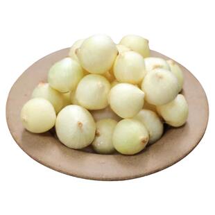 野葱头苦藠头种子可吃可种新鲜茭团葱薤白小根蒜胡葱庭院蔬菜种籽