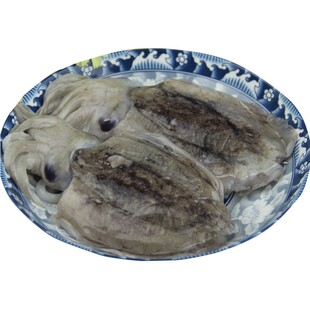 舟山冷冻墨鱼东海鲜水产针乌贼墨斗鱼花枝目鱼不泡药500g非养殖