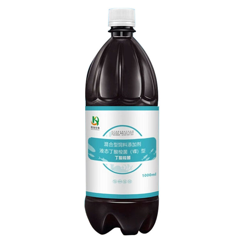 水产养殖丁酸梭菌诱食调节肠道