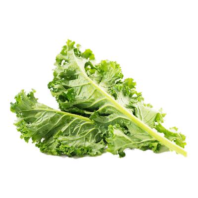 东方甄选绿色羽衣甘蓝500g/1000g