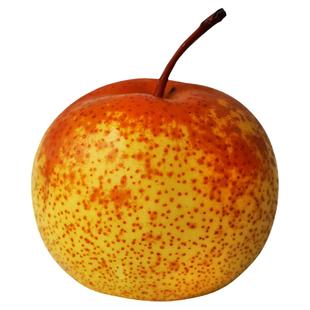 鞍山花盖梨软秋子梨大果肉细腻东北大冻梨特产酸甜新鲜当季非香梨