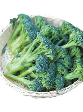 西兰苔种子口感脆嫩如芦笋