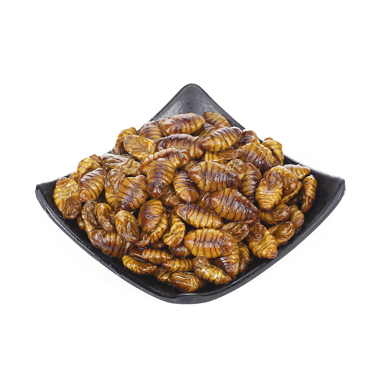当季新鲜速冻 柞蚕俑 A级大茧蛹 烧烤用大黄蛹 大茧蛹 蝉蛹