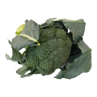 顺丰包邮农家自种现摘西兰花新鲜绿花菜青花菜绿花椰菜青花菜