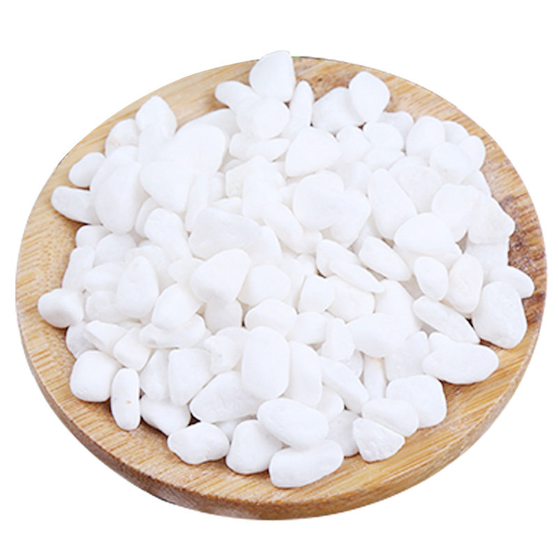 40斤天然白石子造景庭院景观铺路花盆鱼缸多肉铺面鹅卵石工程施工