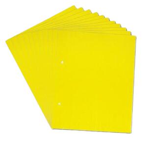 黄板粘虫板双面大棚专用小黑飞果蝇诱捕器诱虫板贴纸农用家用花园