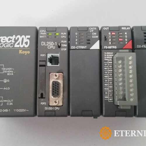 Direct Logic 205 Koyo  DL250-1 CPU  D2-CTRINT  F2-08TRS  D2-