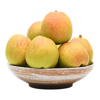 新疆库尔勒香梨新鲜现摘