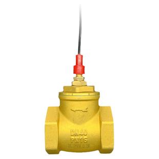 空气能大流量全铜单向阀挡板式水流感应信号流量开关