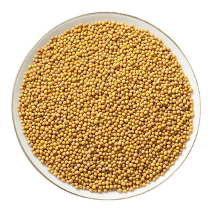 野生白芥子中药材正品旗舰店新货白介子辣菜子芥菜子白芥籽粉泡茶