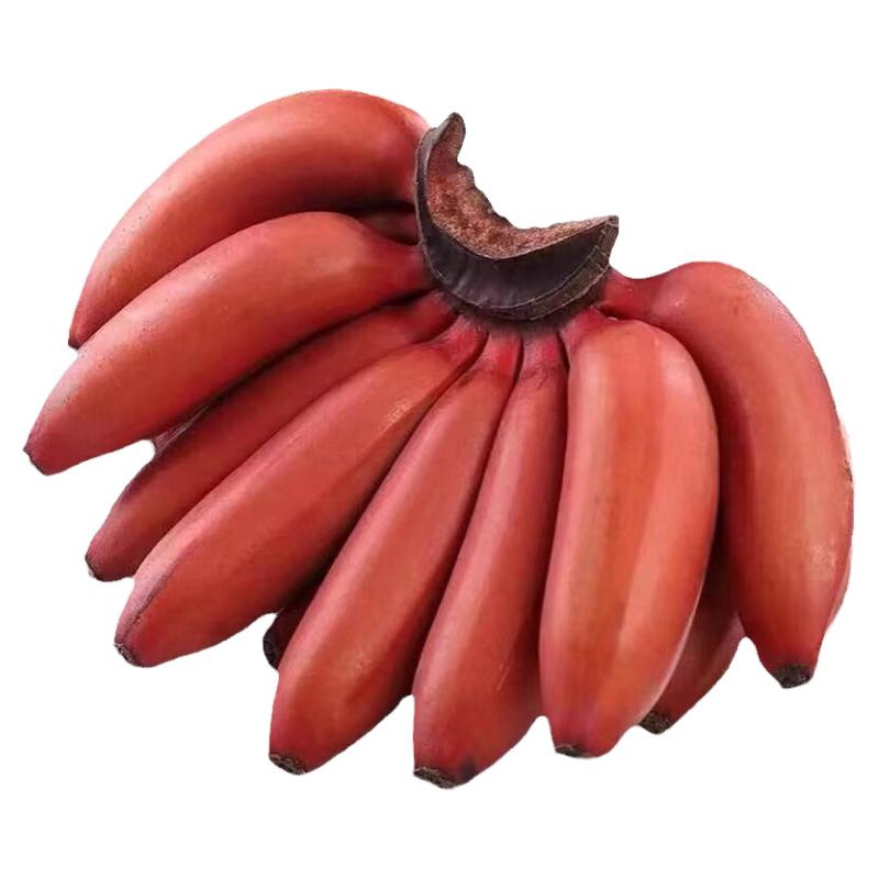 红皮美人蕉新鲜孕妇水果5斤整箱包邮banana香甜软糯小香焦香蕉