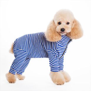 宠物狗狗衣服泰迪春秋装母狗包肚子公狗四脚裤长腿小型犬比熊时尚