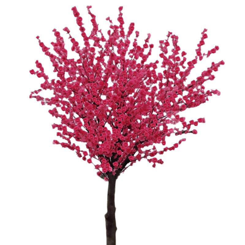 高杆梅花树苗庭院地栽红梅苗冬季花卉腊梅花四季盆栽耐寒梅花树