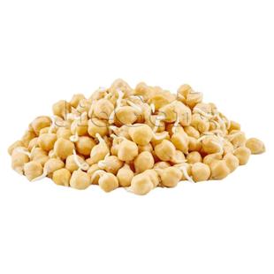 鹰嘴豆种子 鸡心豆 芽菜 微型蔬菜Garbanzo Bean Sprouting Seeds
