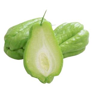 发芽佛手瓜种子种籽苗秧带芽扶手瓜龙须菜孑子秧苗瓜苗种瓜带土