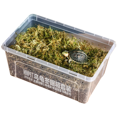 苔藓椰土保湿大号小乌龟冬眠套装