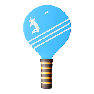 板羽球拍套装正品小学生室内三毛球专业成人白羽毛儿童乒乓毽子球