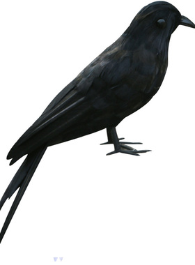 仿真燕子摆件真羽毛模型