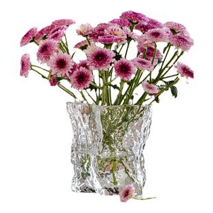 ins风不规则冰川玻璃花瓶摆件客厅插花高级感水培透明水养餐桌小