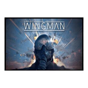 XBOX/PC游戏 僚机计划 Project Wingman 官方兑换码/代购