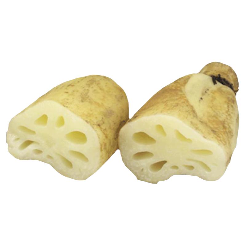 新鲜包邮带泥农家自种生吃脆藕
