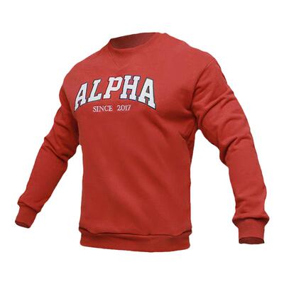 AlphaGym卫衣复古圣诞节情侣