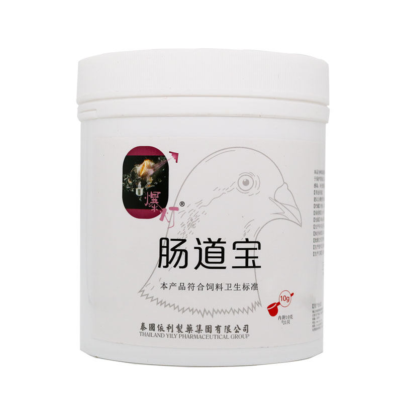 爆灯鸽药肠道宝鸽子药大全