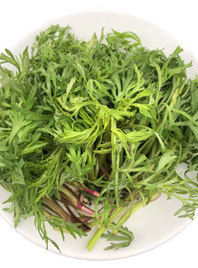 长白山野菜冷冻柳蒿芽产地发货