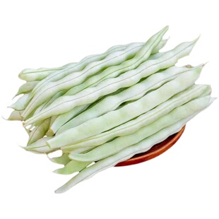 超级九粒白架豆种子老来少白不老四季豆芸豆菜豆籽春季秋季蔬菜孑