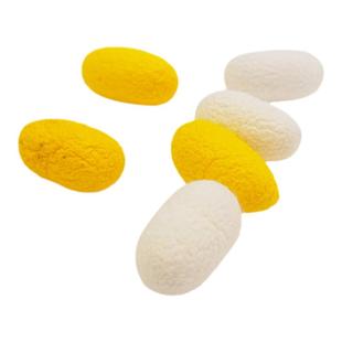 猫咪玩具天然蚕茧逗猫棒小铃铛幼猫逗猫玩具自嗨解闷神器宠物玩具