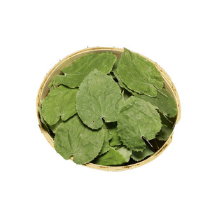 野淫羊藿叶中药材正品肉苁蓉锁阳泡酒甘肃小叶淫洋藿仙灵脾泡茶